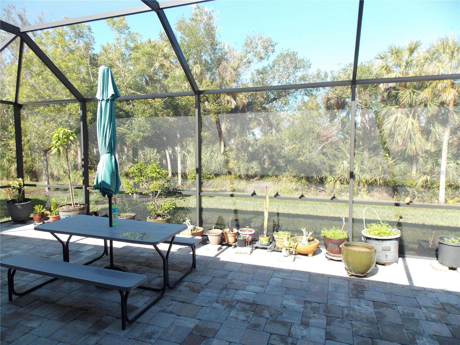 11992 BLAZING STAR DR, VENICE, FL, 34293