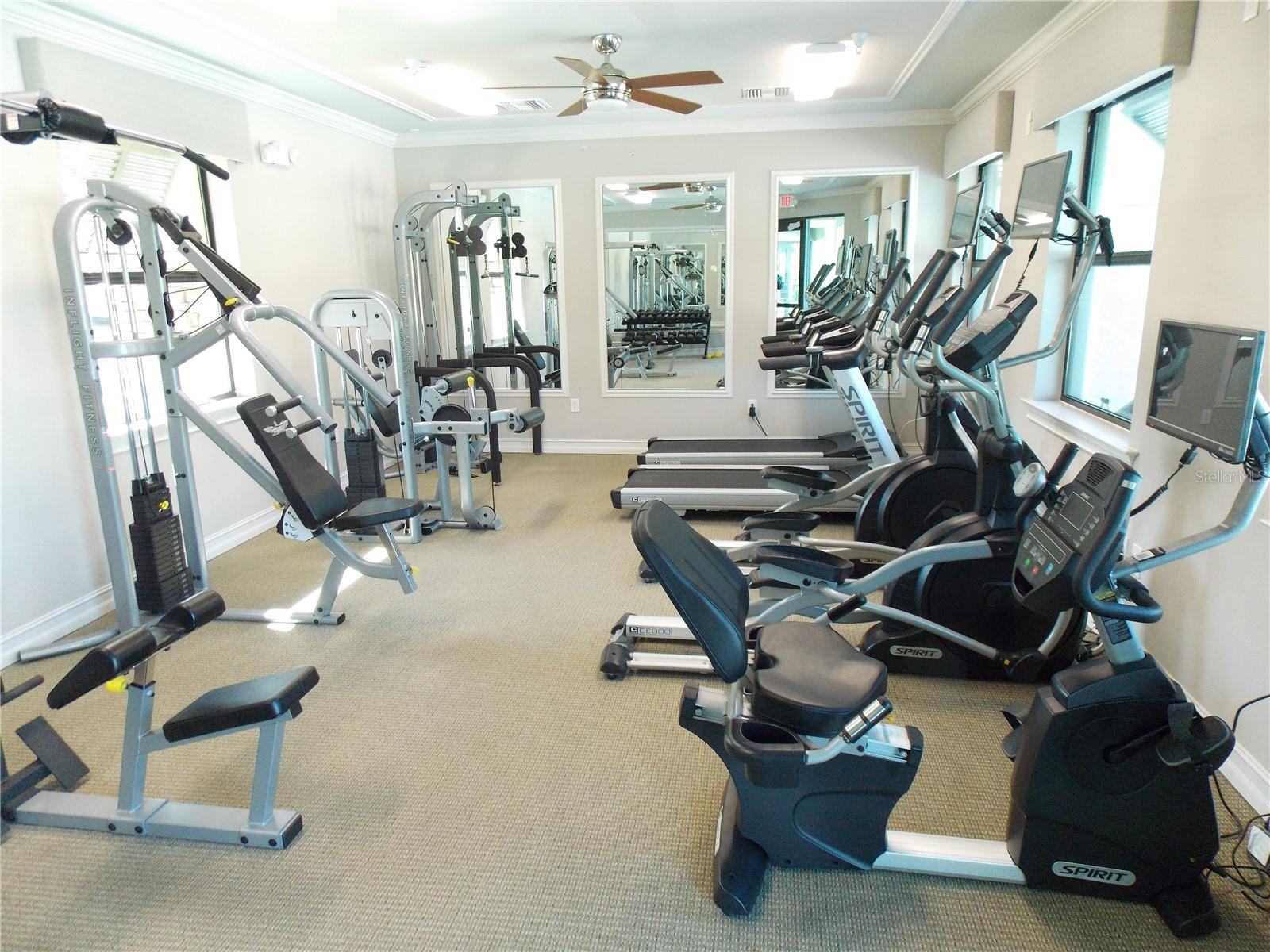 11992 BLAZING STAR DR, VENICE, FL, 34293