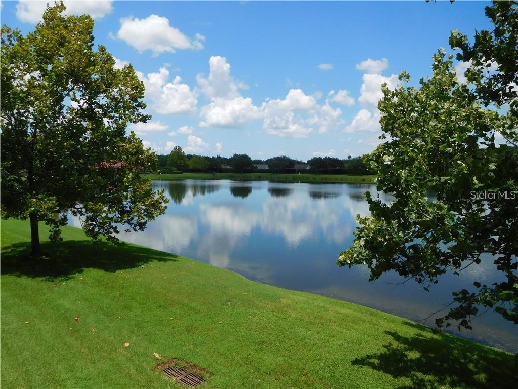 18106 PEREGRINES PERCH PL #5208, LUTZ, FL, 33558