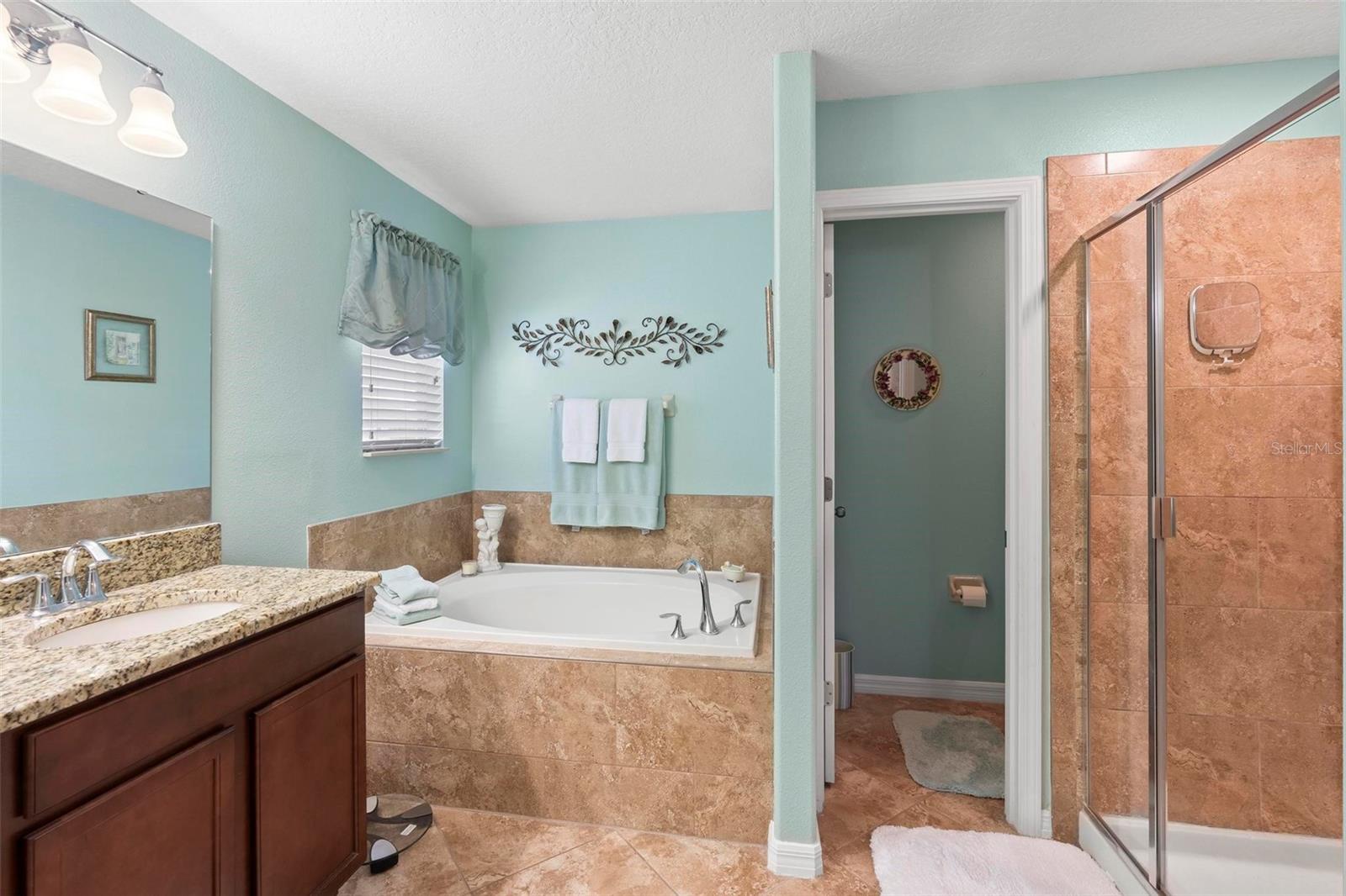 4847 HAVILLAND DR, MOUNT DORA, FL, 32757