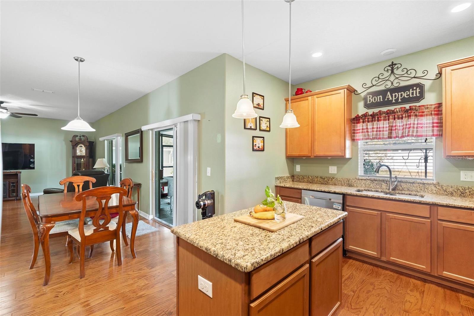 4847 HAVILLAND DR, MOUNT DORA, FL, 32757