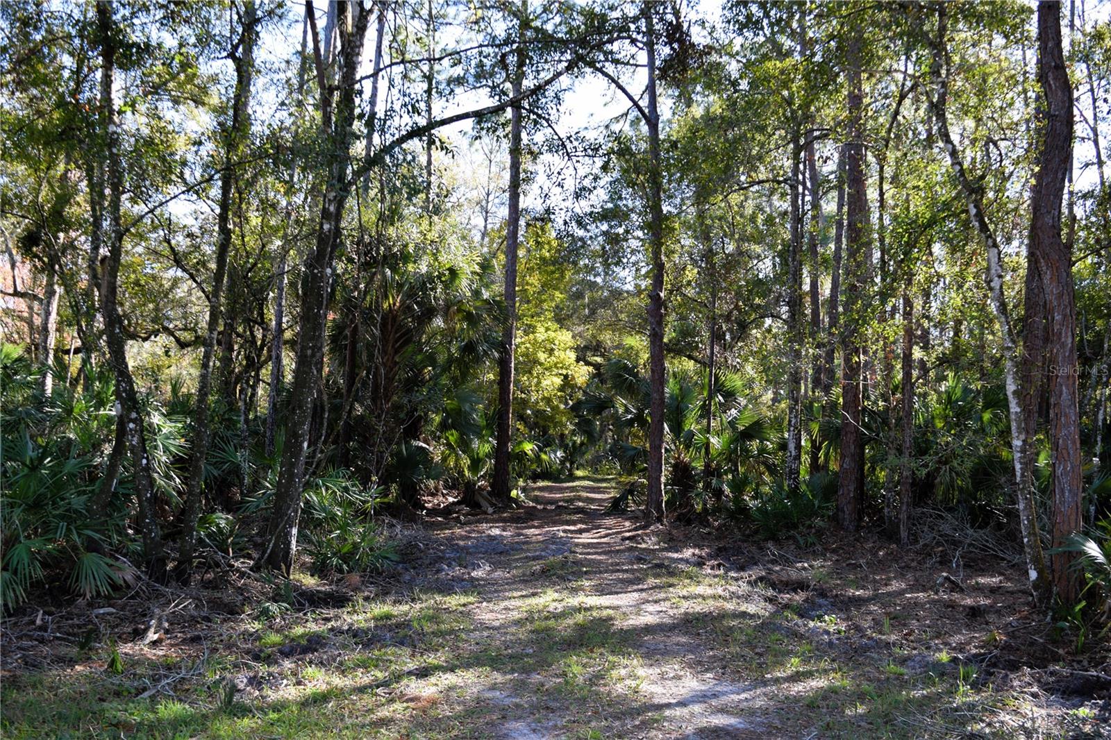 1289 TALL PINES DR, OSTEEN, FL, 32764