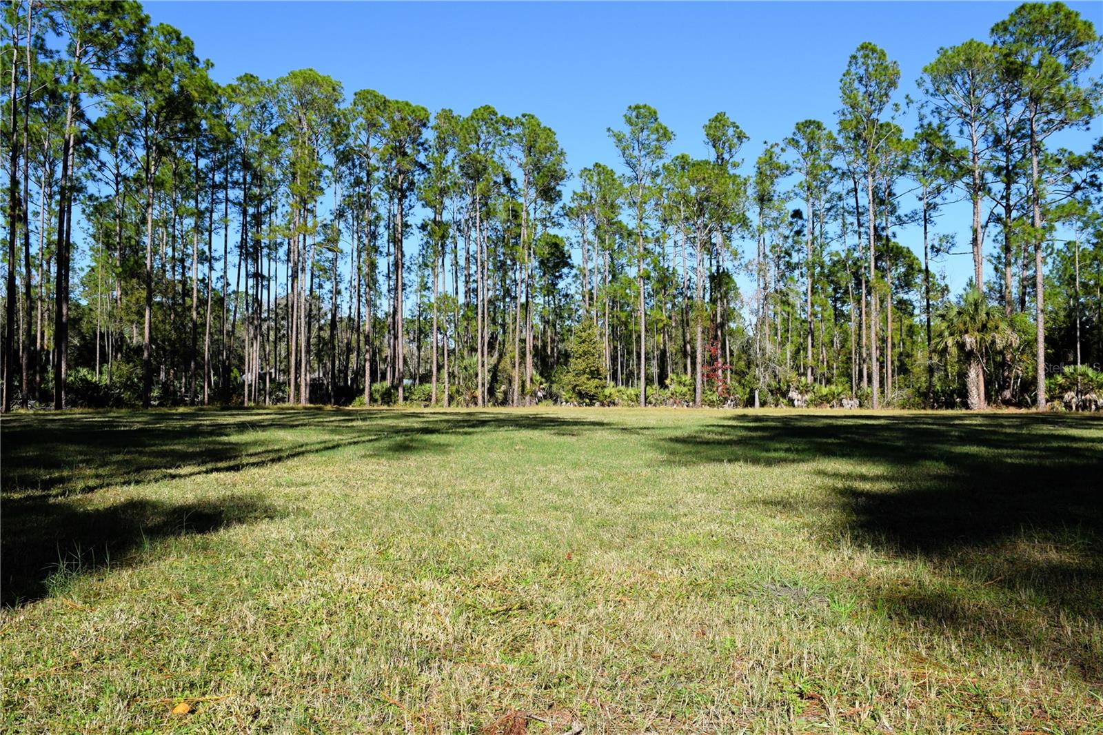 1289 TALL PINES DR, OSTEEN, FL, 32764