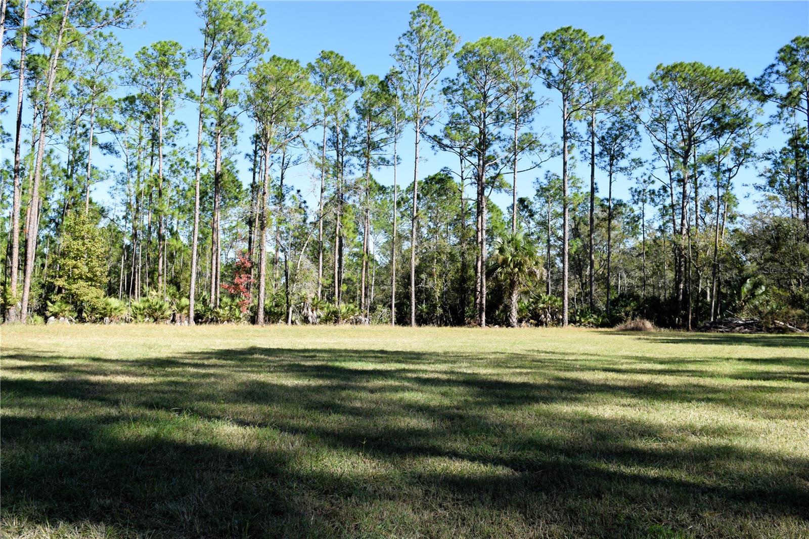 1289 TALL PINES DR, OSTEEN, FL, 32764