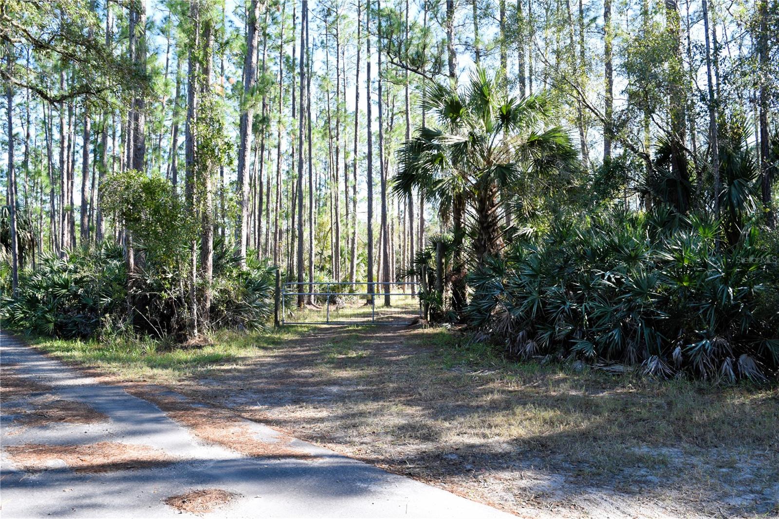 1289 TALL PINES DR, OSTEEN, FL, 32764