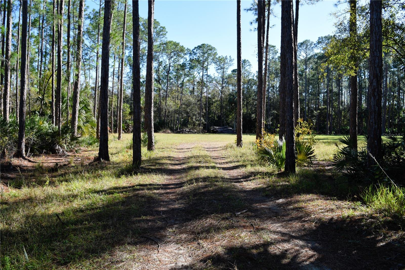 1289 TALL PINES DR, OSTEEN, FL, 32764