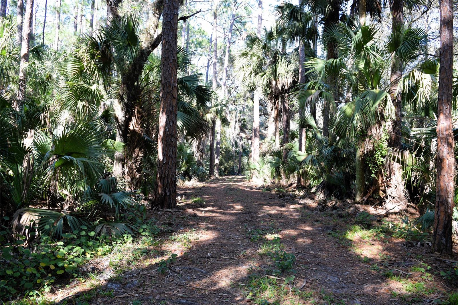 1289 TALL PINES DR, OSTEEN, FL, 32764