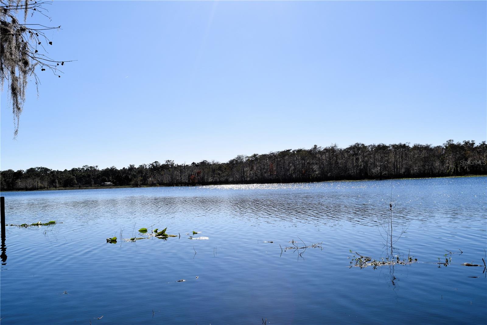 1289 TALL PINES DR, OSTEEN, FL, 32764