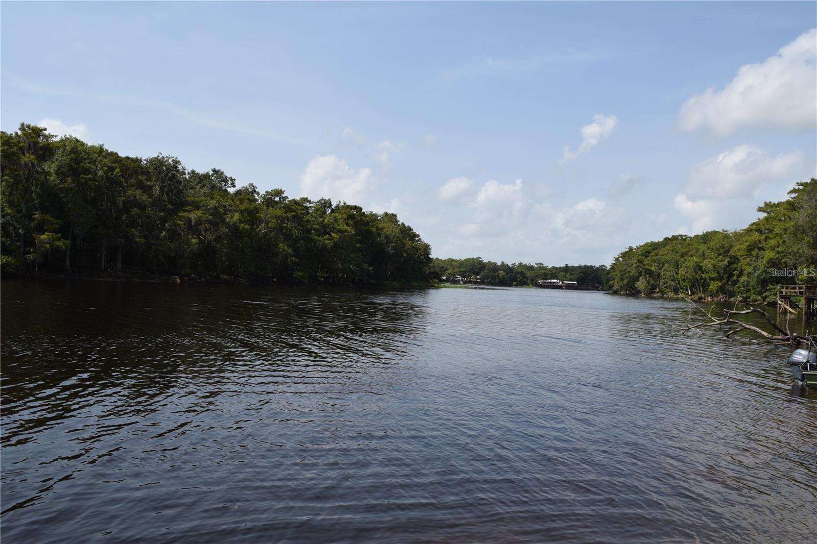 1289 TALL PINES DR, OSTEEN, FL, 32764