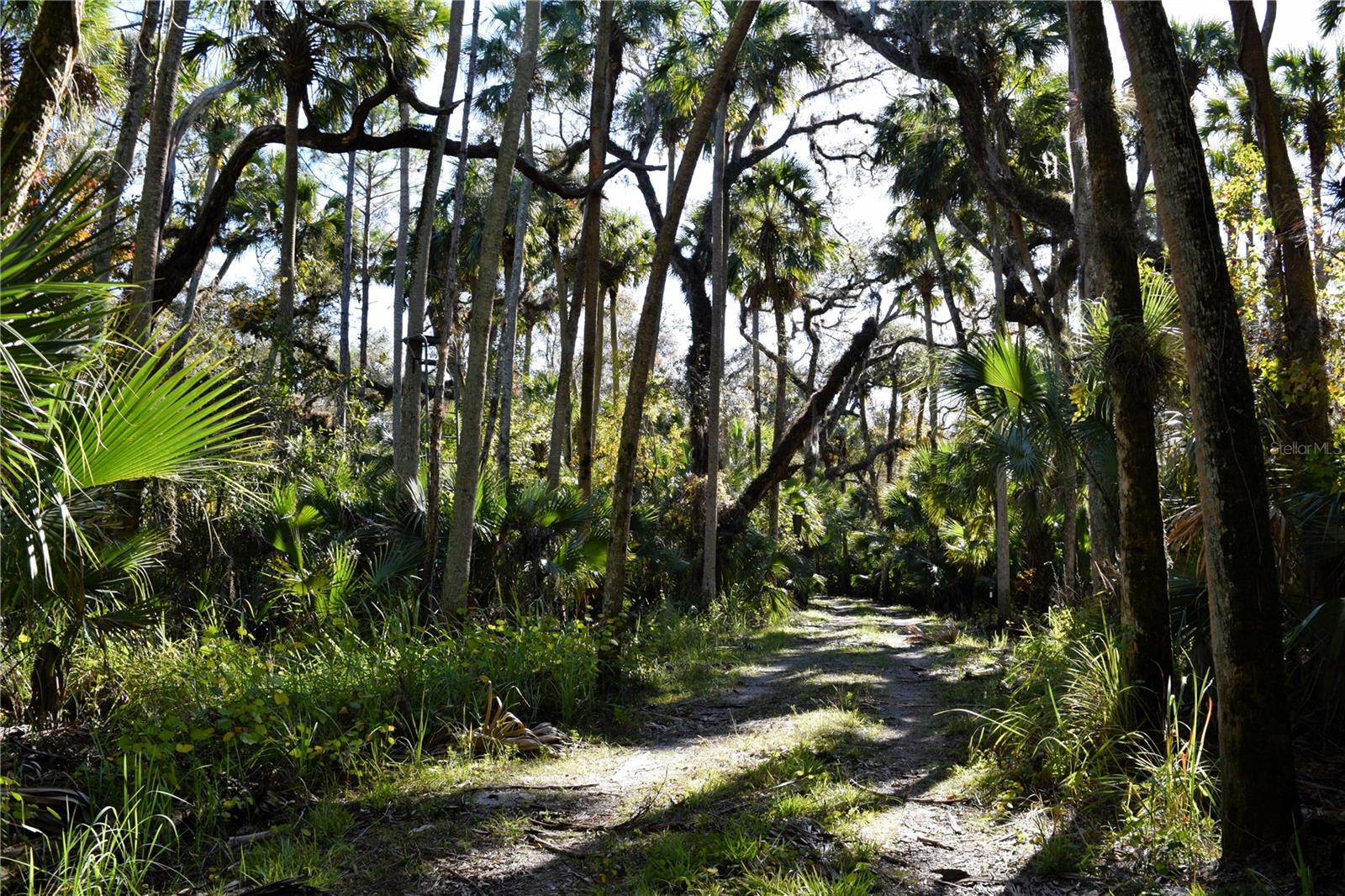 1289 TALL PINES DR, OSTEEN, FL, 32764