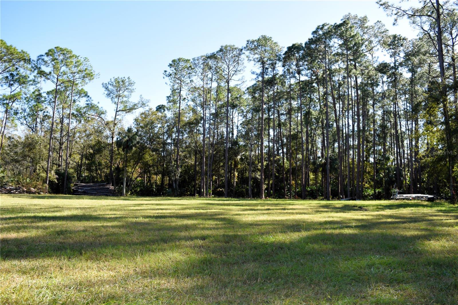 1289 TALL PINES DR, OSTEEN, FL, 32764