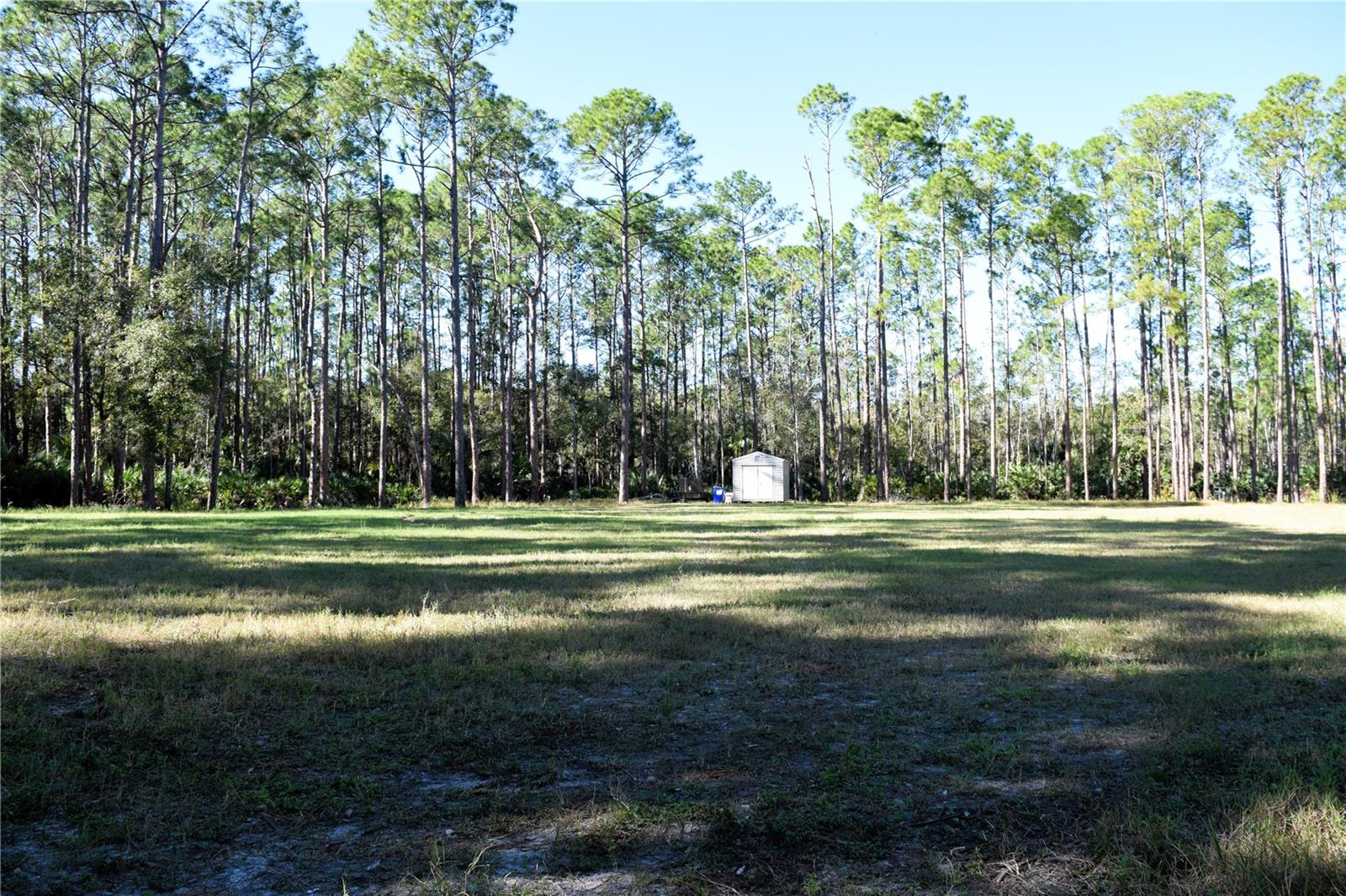1289 TALL PINES DR, OSTEEN, FL, 32764