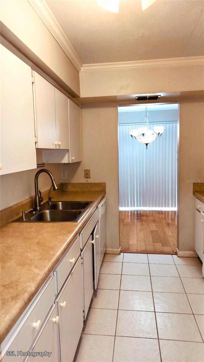 6305 TREETOP CIR #6305, TEMPLE TERRACE, FL, 33617