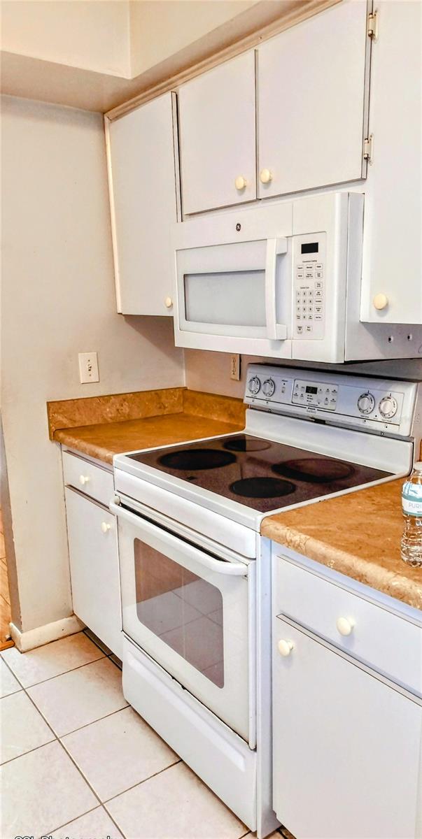 6305 TREETOP CIR #6305, TEMPLE TERRACE, FL, 33617