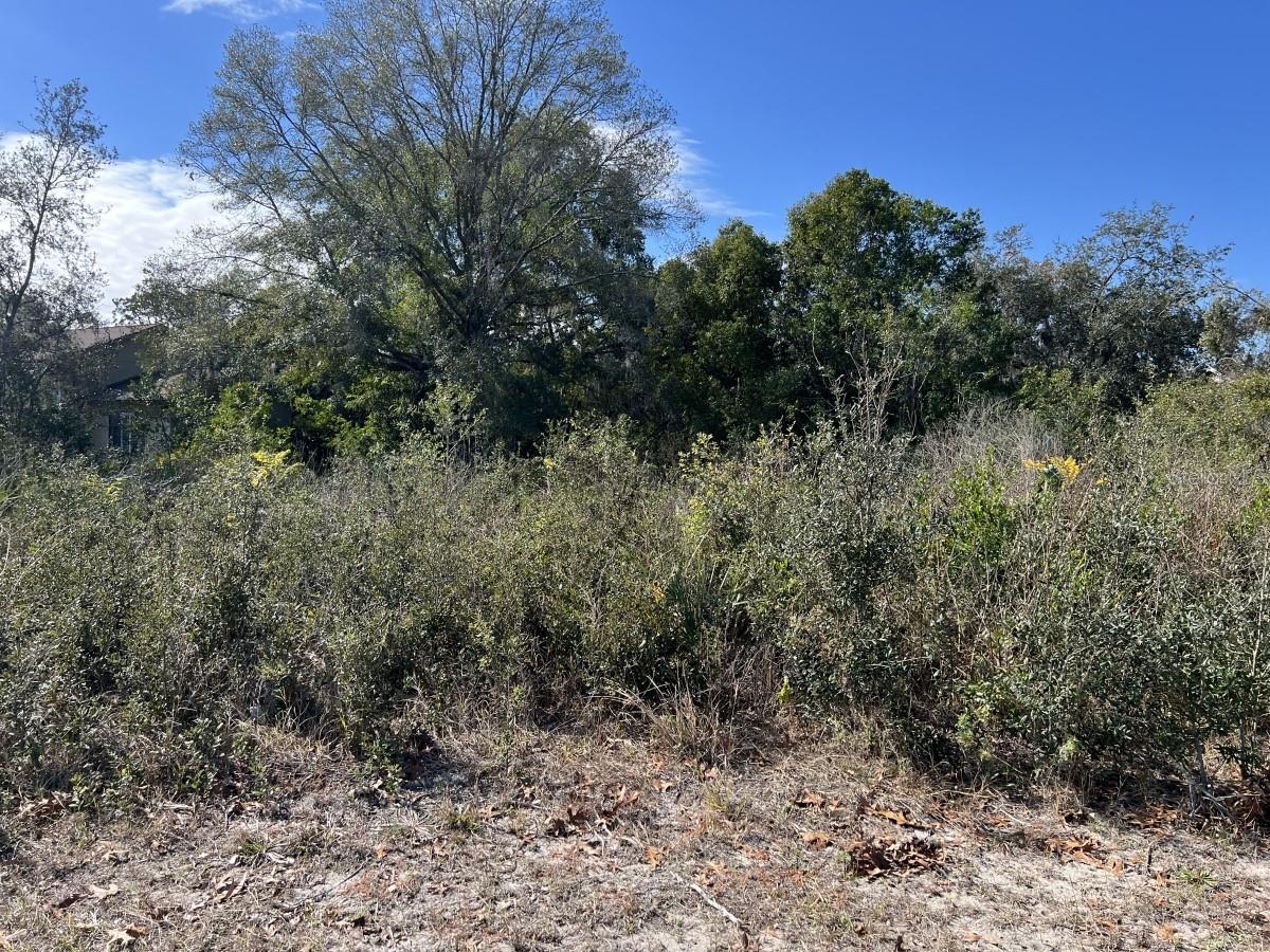 9591 SUNSHINE BLVD, NEW PORT RICHEY, FL, 34654