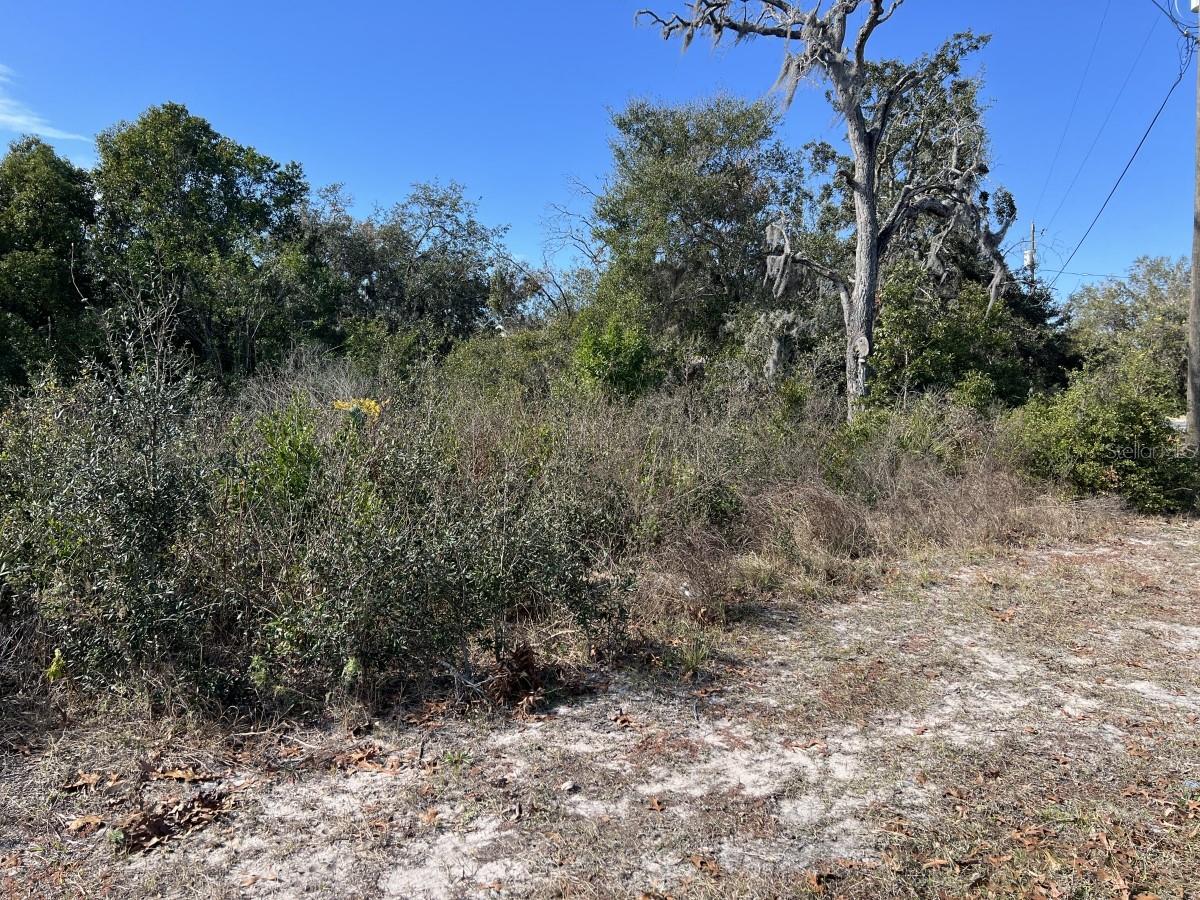 9591 SUNSHINE BLVD, NEW PORT RICHEY, FL, 34654