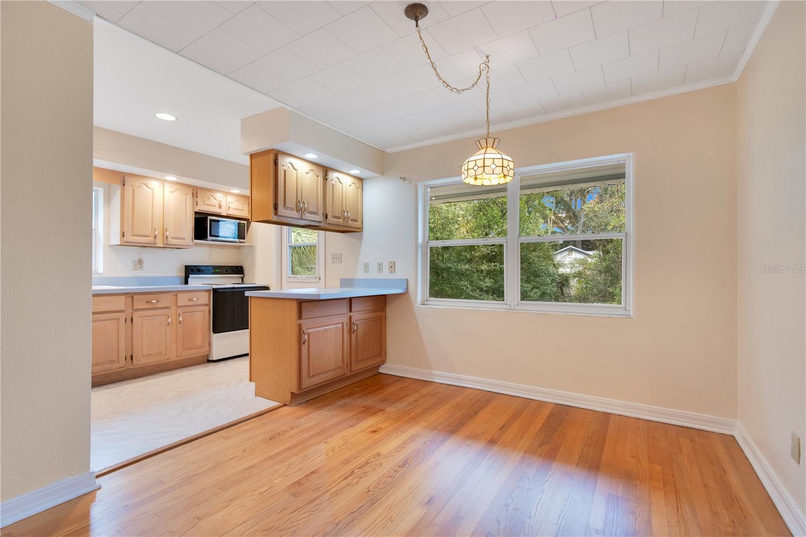 1734 WELTIN ST, ORLANDO, FL, 32803