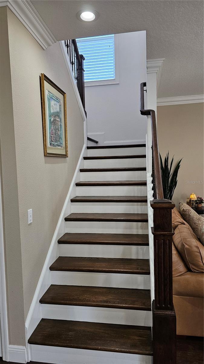 3508 COWART ST, NEW PORT RICHEY, FL, 34655