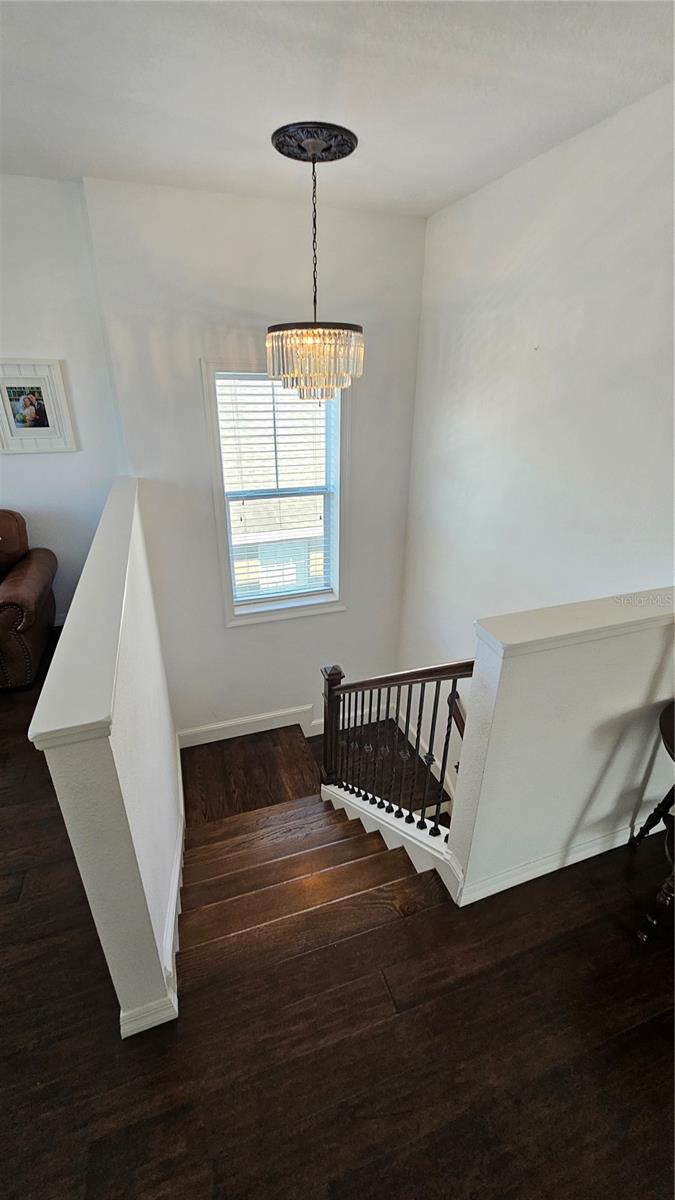 3508 COWART ST, NEW PORT RICHEY, FL, 34655