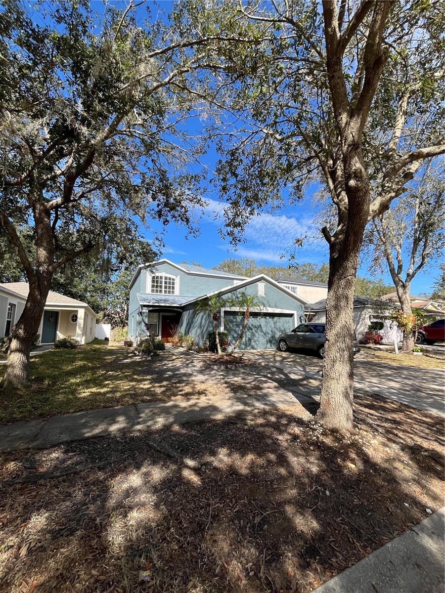 18114 BIRDWATER DR, TAMPA, FL, 33647