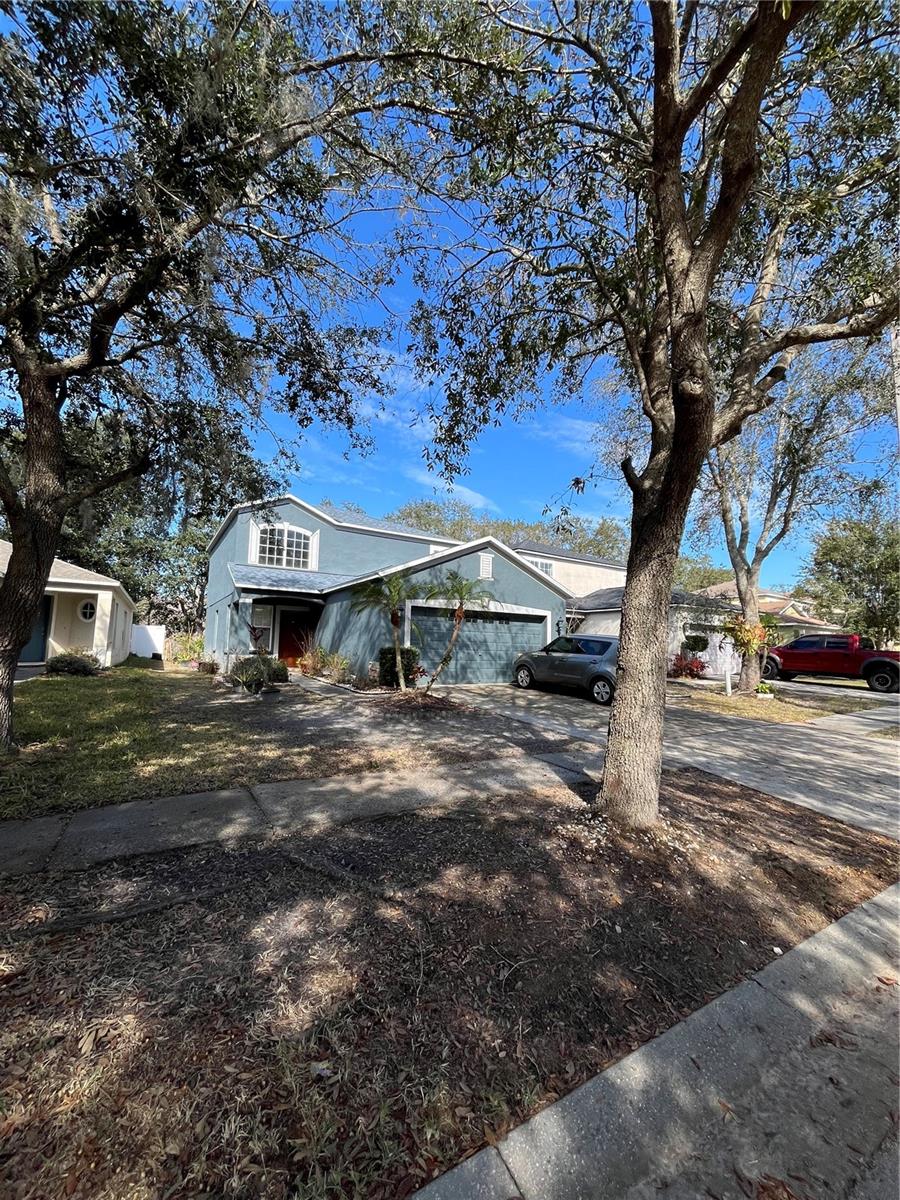 18114 BIRDWATER DR, TAMPA, FL, 33647