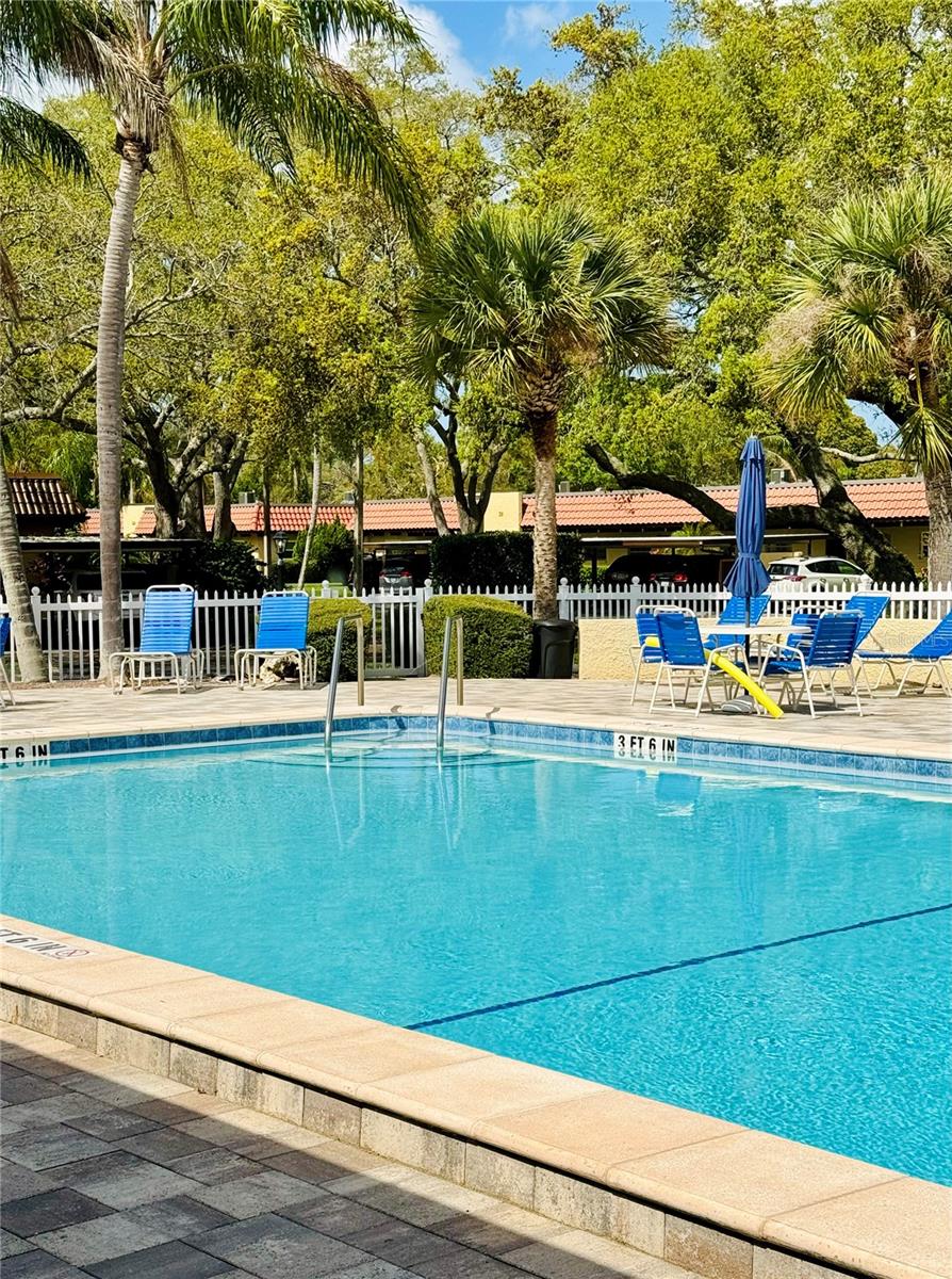1701 PINEHURST RD #8B, DUNEDIN, FL, 34698