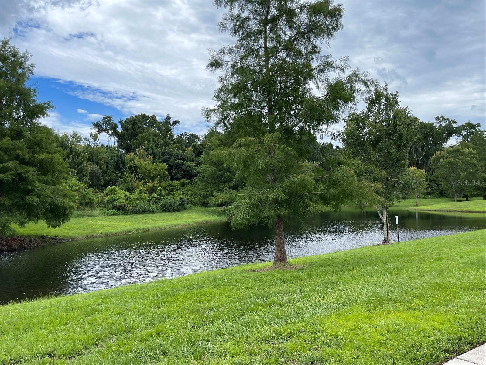 356 GOLDEN DEWDROP WAY, OVIEDO, FL, 32765