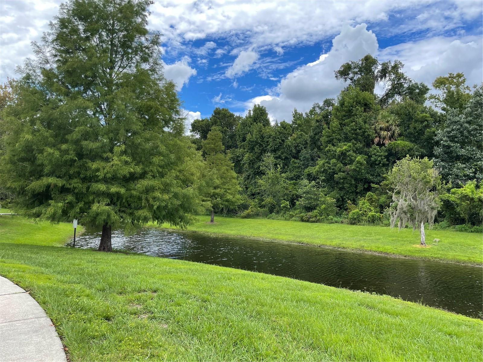 356 GOLDEN DEWDROP WAY, OVIEDO, FL, 32765