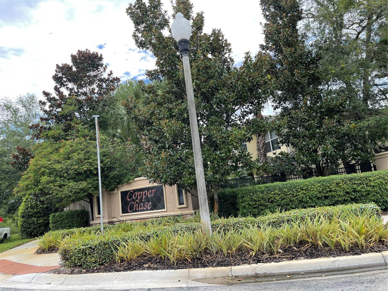 356 GOLDEN DEWDROP WAY, OVIEDO, FL, 32765