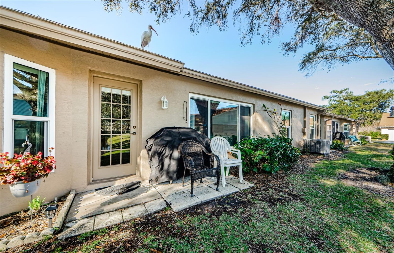 9338 CLEARMEADOW LN, NEW PORT RICHEY, FL, 34655
