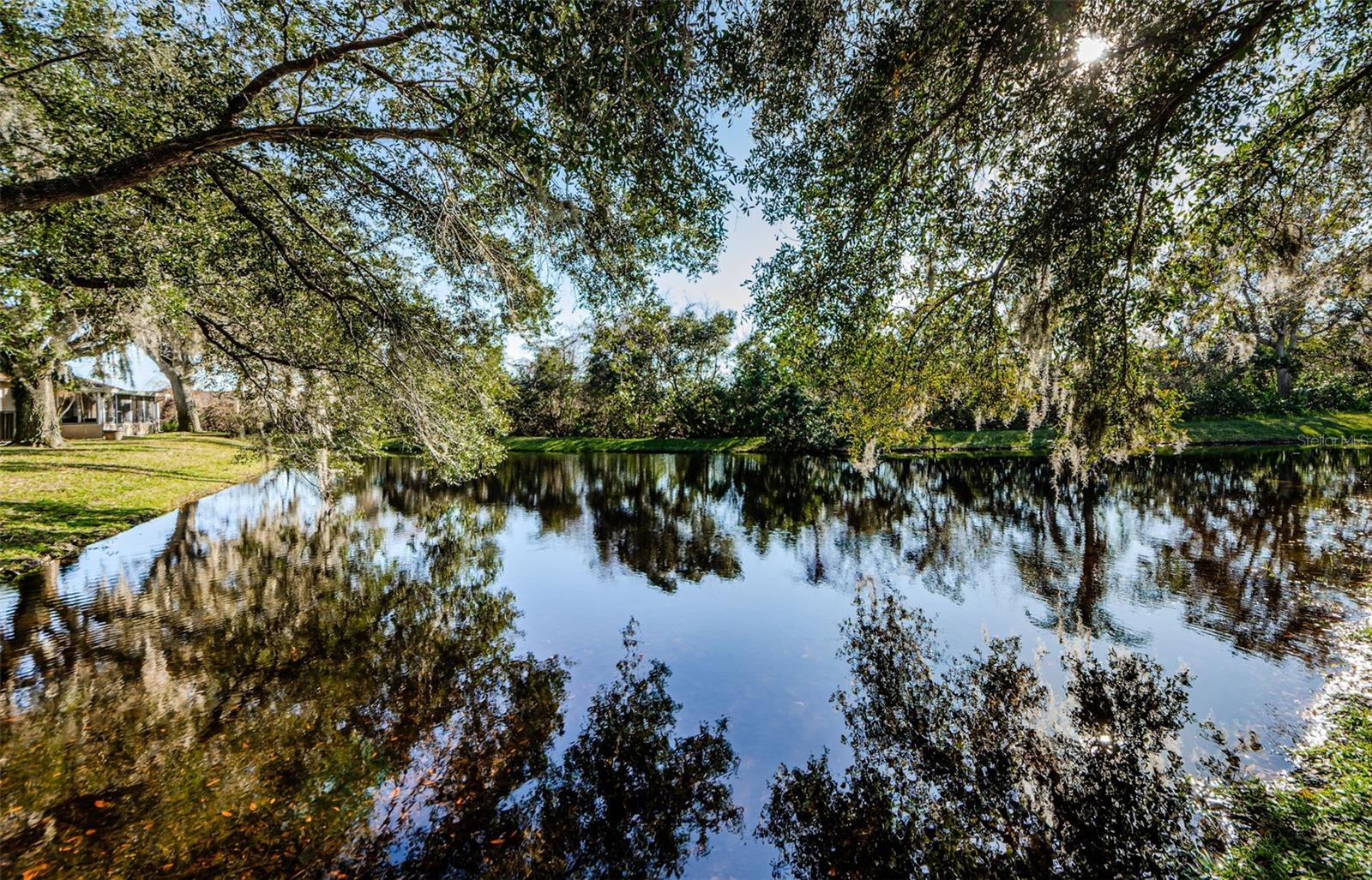 9338 CLEARMEADOW LN, NEW PORT RICHEY, FL, 34655