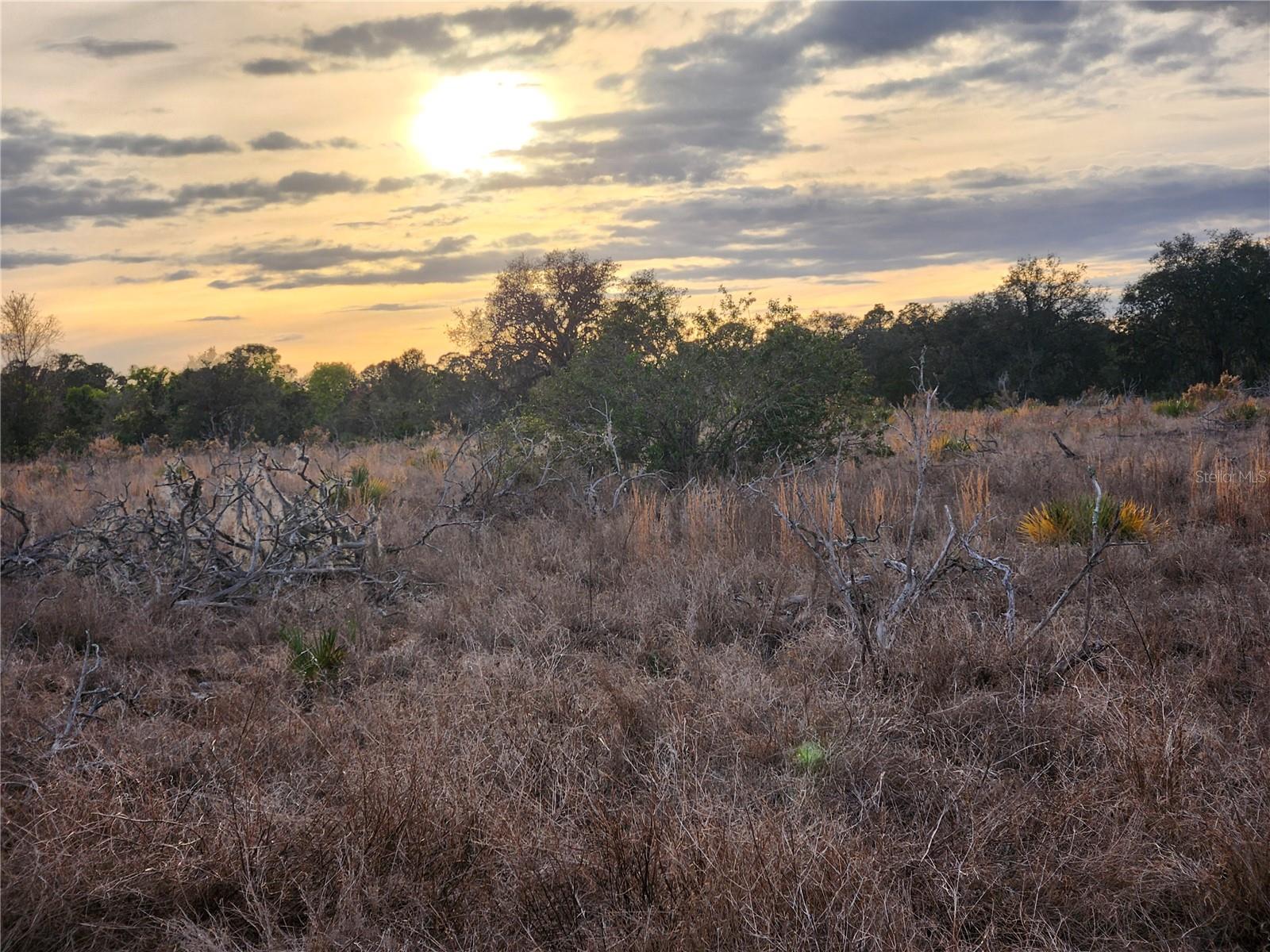 W FROSTPROOF RD #Lot 11, FROSTPROOF, FL, 33843