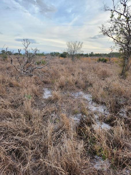 W FROSTPROOF RD #Lot 11, FROSTPROOF, FL, 33843