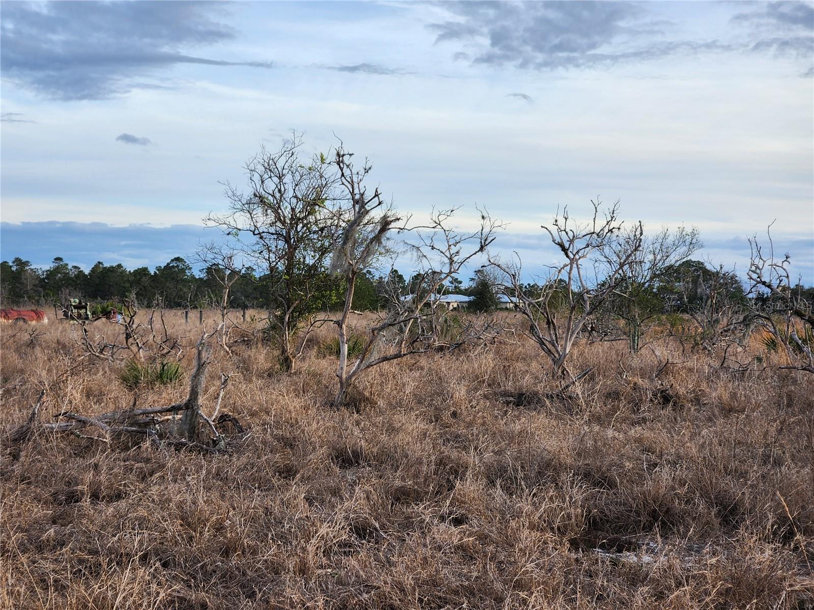 W FROSTPROOF RD #Lot 11, FROSTPROOF, FL, 33843