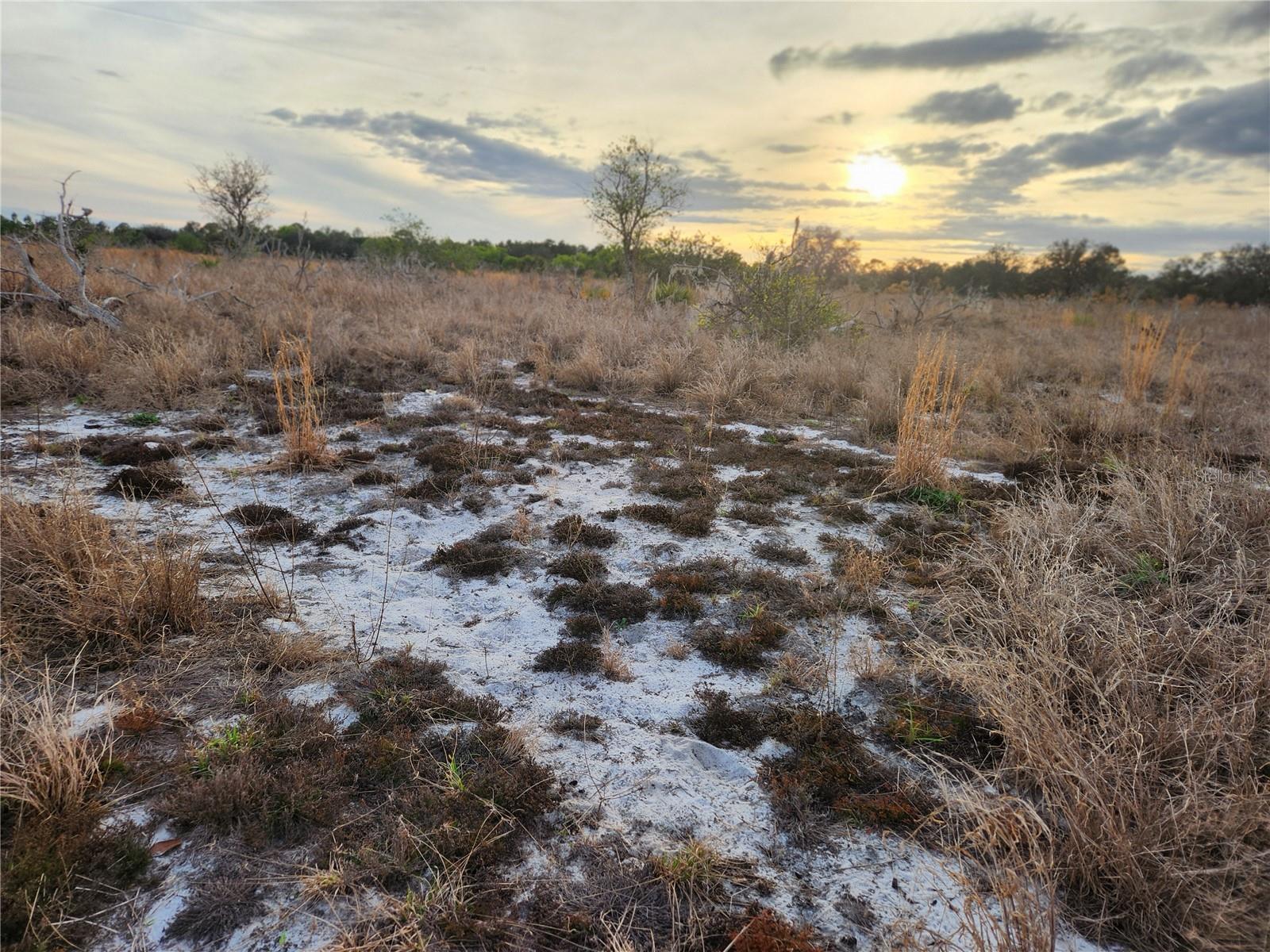 W FROSTPROOF RD #Lot 11, FROSTPROOF, FL, 33843