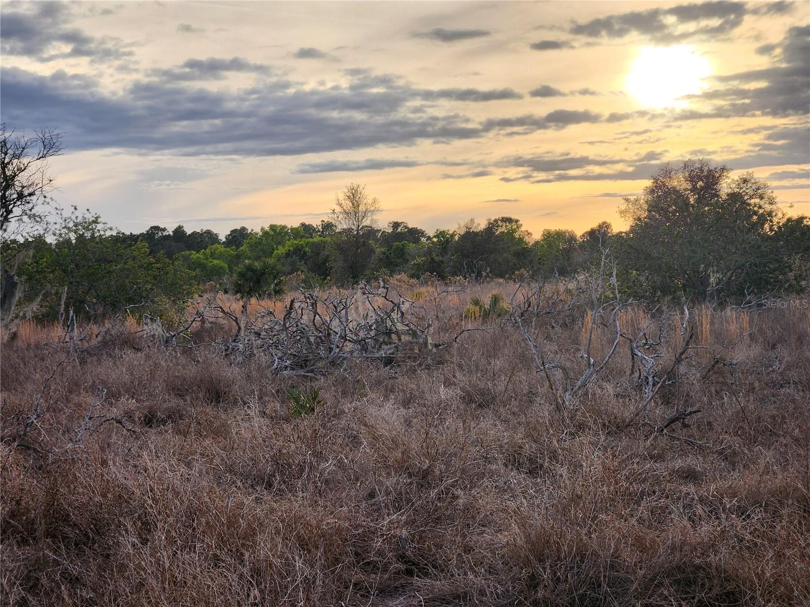 W FROSTPROOF RD #Lot 11, FROSTPROOF, FL, 33843