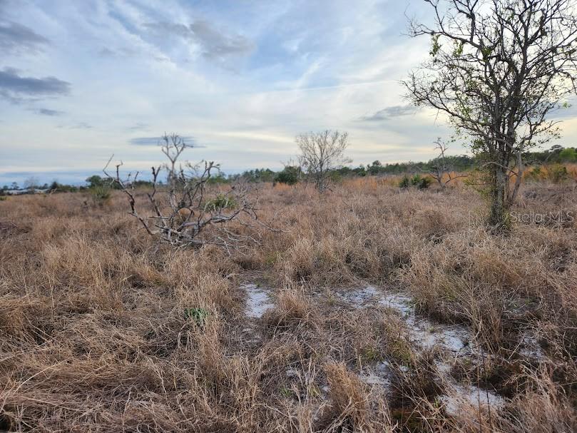 W FROSTPROOF RD #Lot 11, FROSTPROOF, FL, 33843