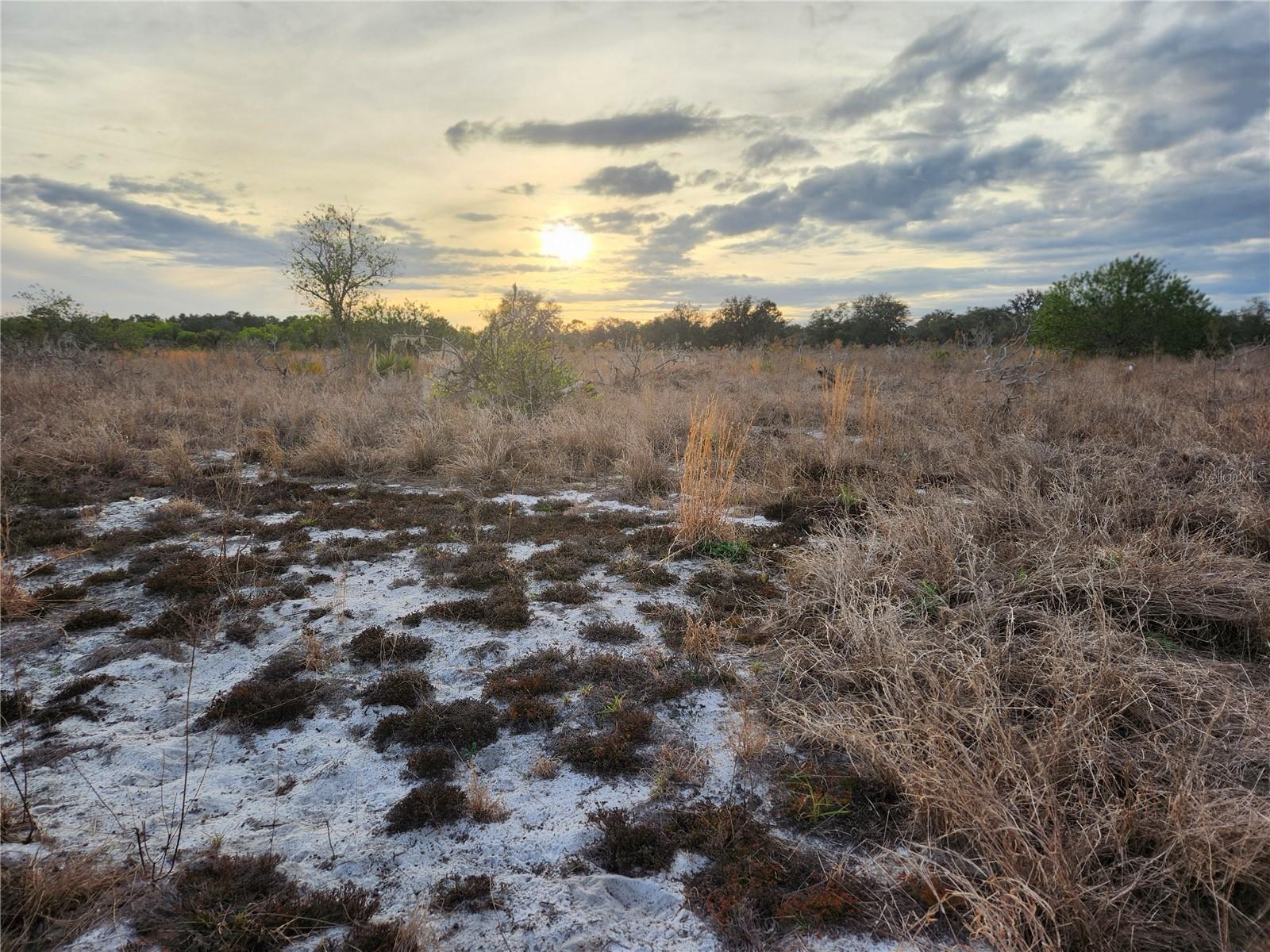 W FROSTPROOF RD #Lot 11, FROSTPROOF, FL, 33843