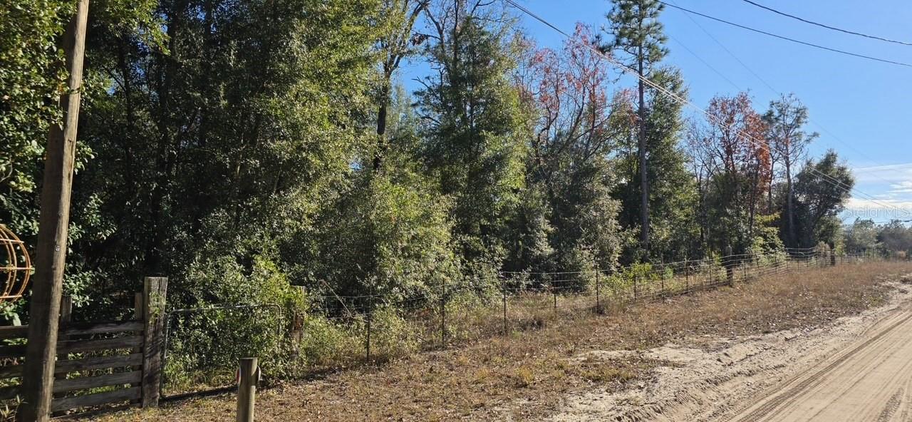 7195 GAS LINE RD, KEYSTONE HEIGHTS, FL, 32656