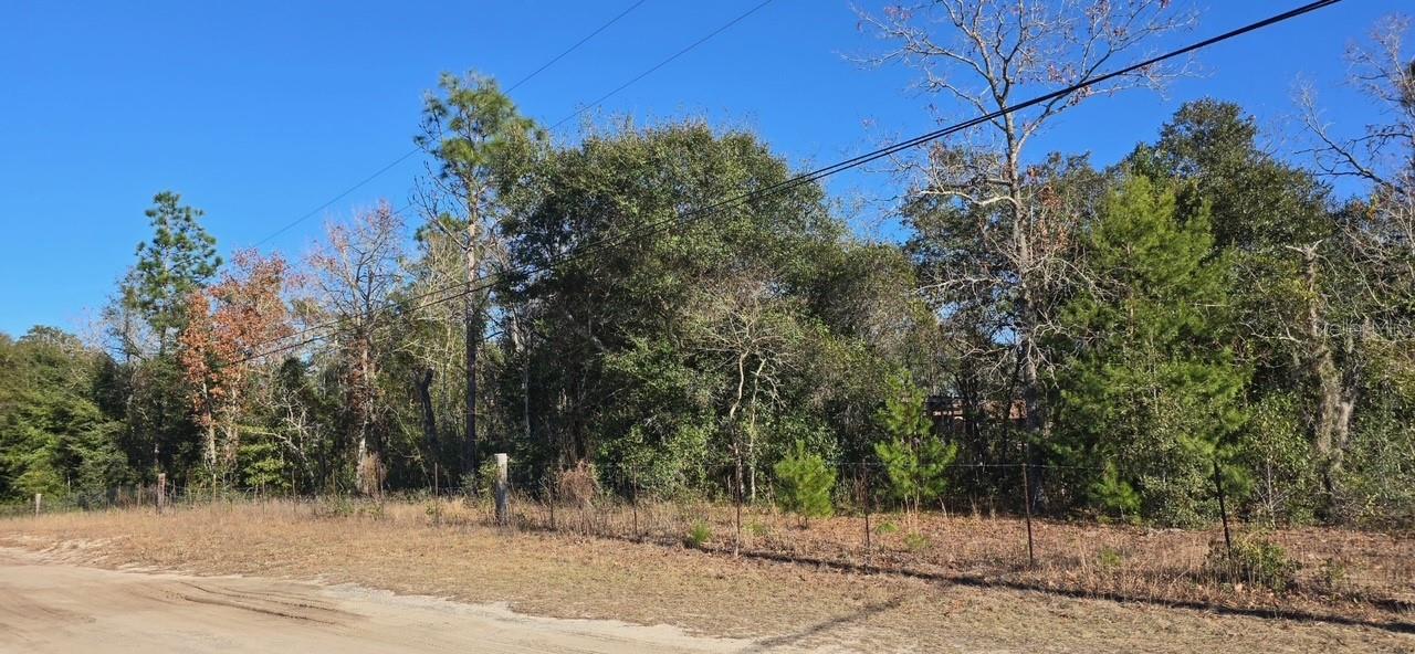 7195 GAS LINE RD, KEYSTONE HEIGHTS, FL, 32656