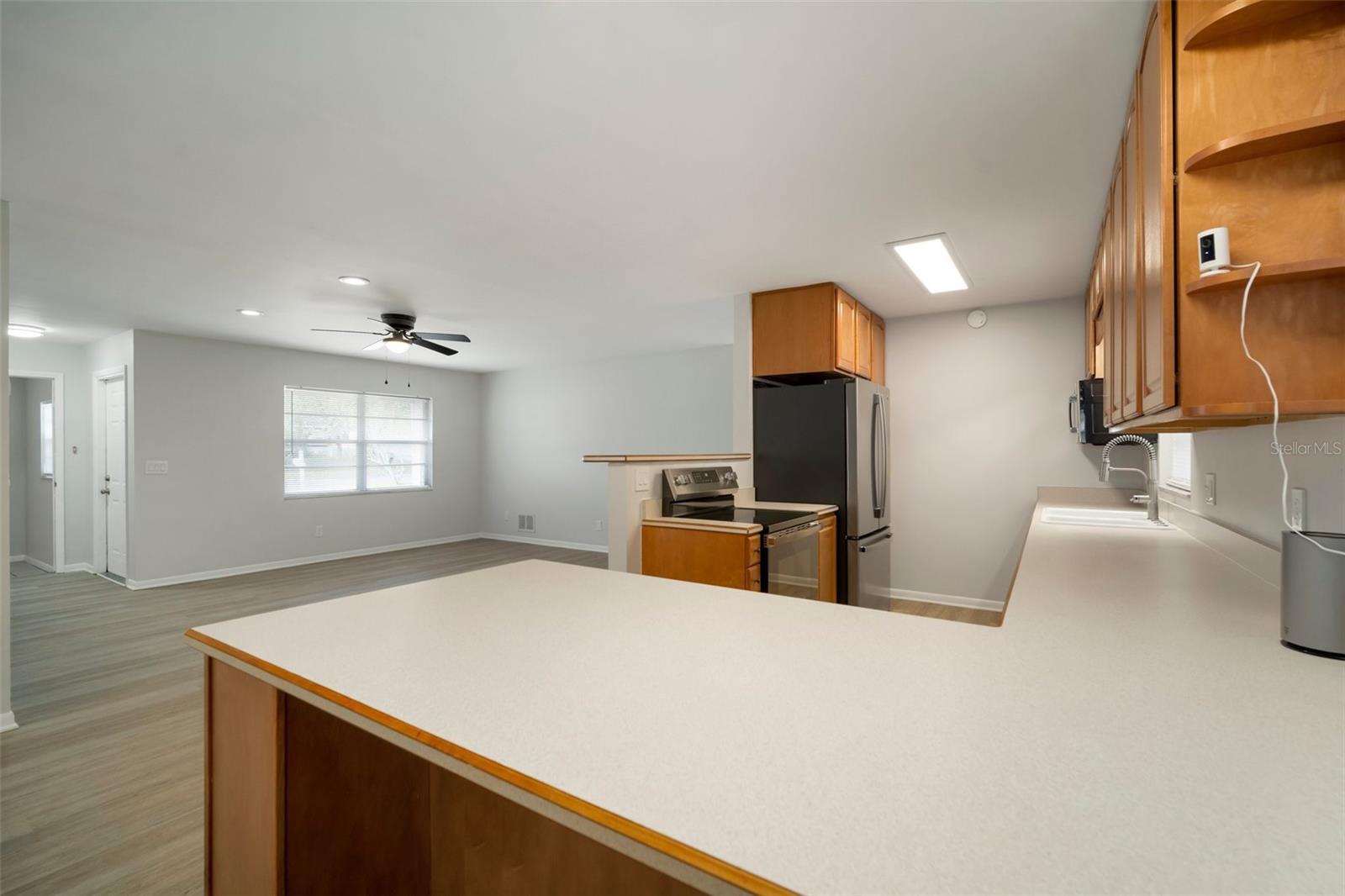 1203 BARONWOOD PL, BRANDON, FL, 33510