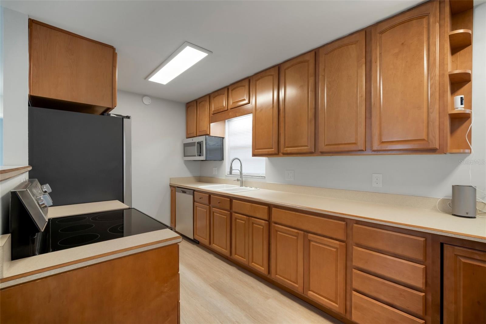 1203 BARONWOOD PL, BRANDON, FL, 33510