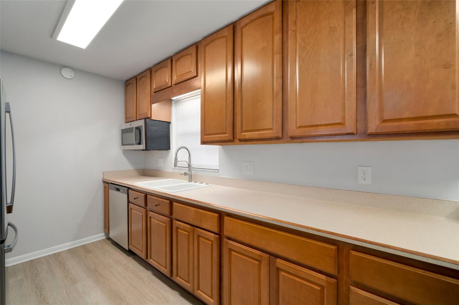 1203 BARONWOOD PL, BRANDON, FL, 33510