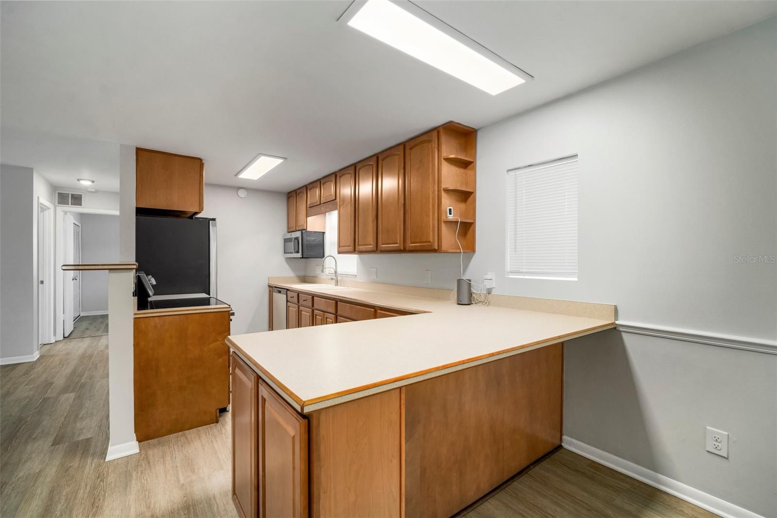 1203 BARONWOOD PL, BRANDON, FL, 33510