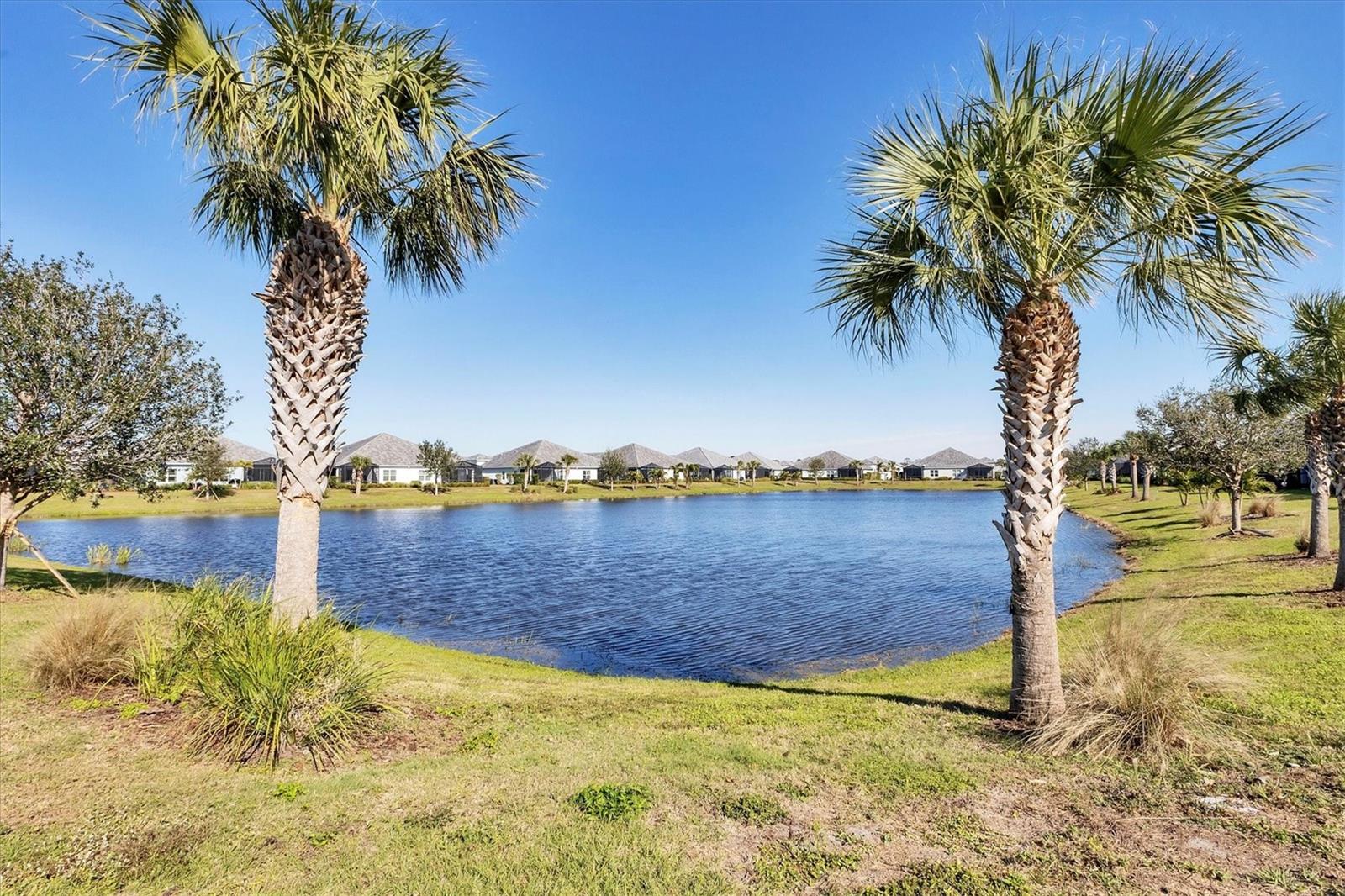 12488 PALATKA DR, VENICE, FL, 34293