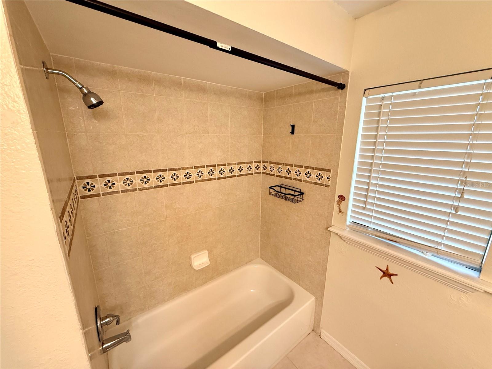 8111 TARSIER AVE, NEW PORT RICHEY, FL, 34653