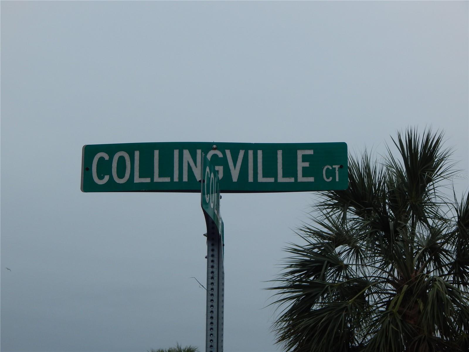 8 COLLINGVILLE CT, PALM COAST, FL, 32137