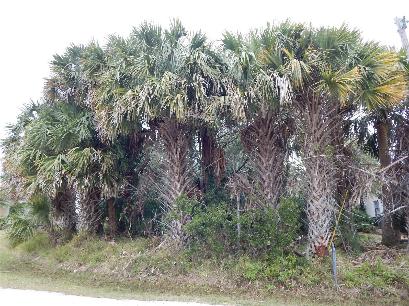 8 COLLINGVILLE CT, PALM COAST, FL, 32137