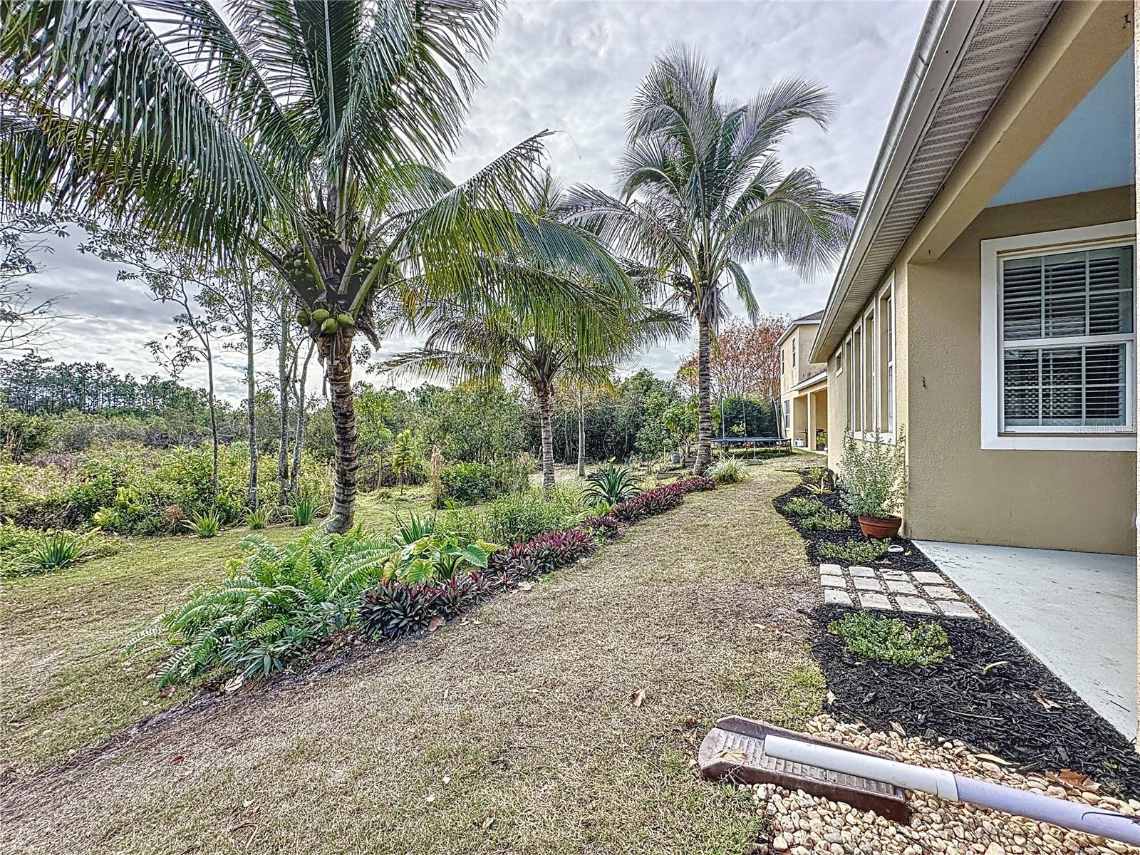 6826 GOLDFLOWER AVE, HARMONY, FL, 34773
