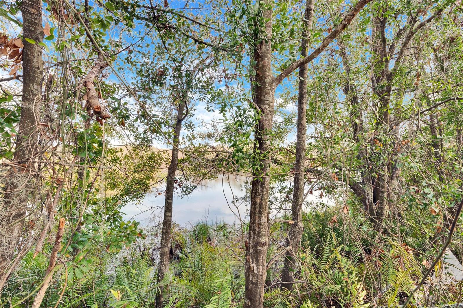 12914 GORDON RD, RIVERVIEW, FL, 33579